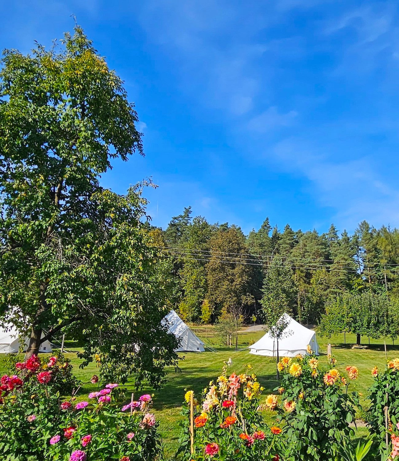 Stanový hotel kontakt banner_mobile