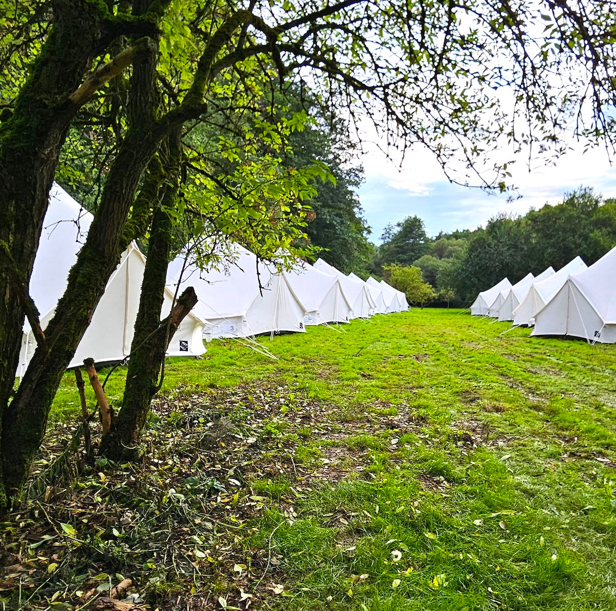 Stanové městečko_menu